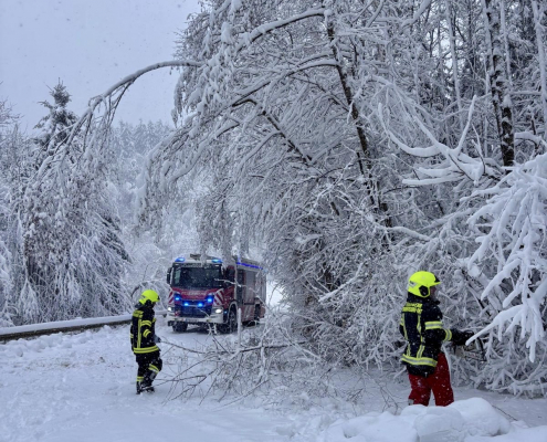 85a7c36c-0867-49fb-a0d6-4d8468197198