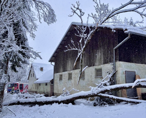 add2d6a0-afeb-42c4-9d95-dad1ef4c8e33