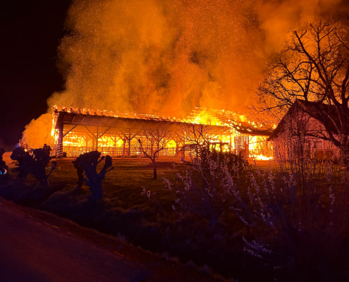 55159550323_8c7afde338_b