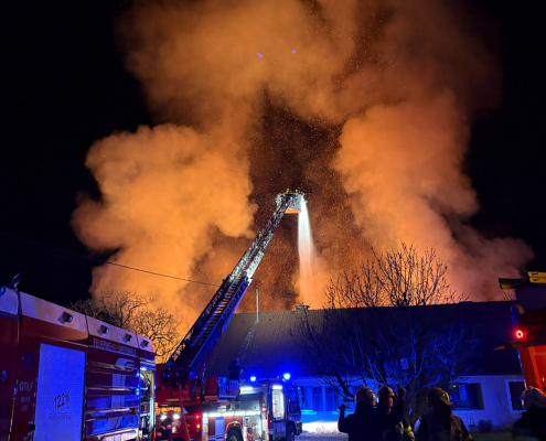 55159767895_9bf17bfd5b_b