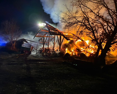 e4beea5f-0992-42b4-b118-4f8833bb09a5